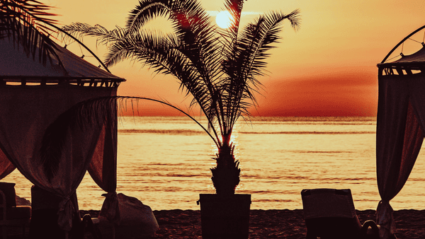 Една дигитална приказка за цял курорт