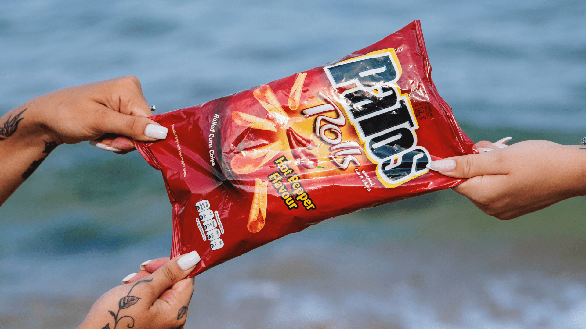 Patos Brand Evolution